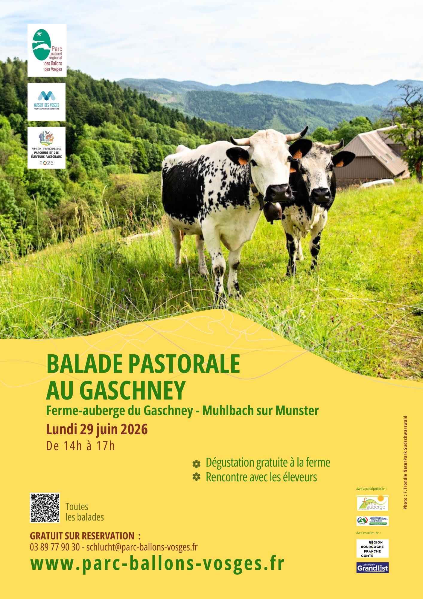 Balade pastorale – La balade du Gaschney Balade pastorale – La balade du Gaschney
