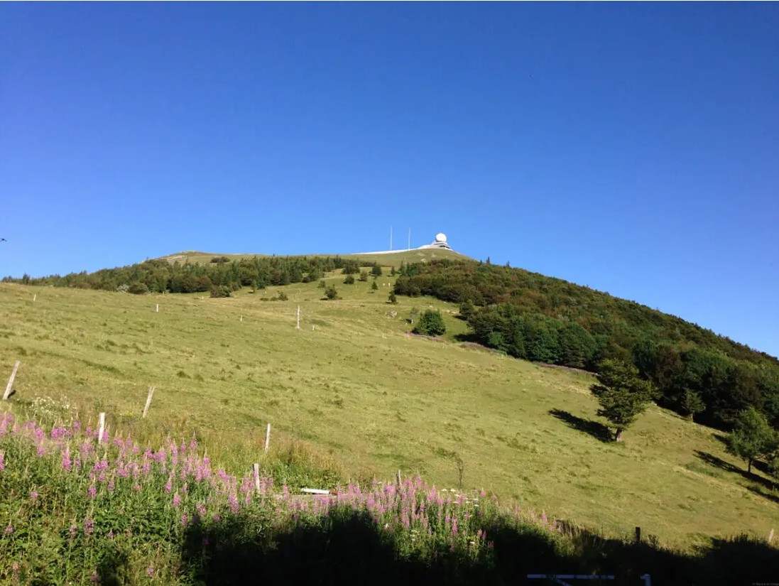 Flore du Grand Ballon et visite d’une ferme auberge avec dégustation