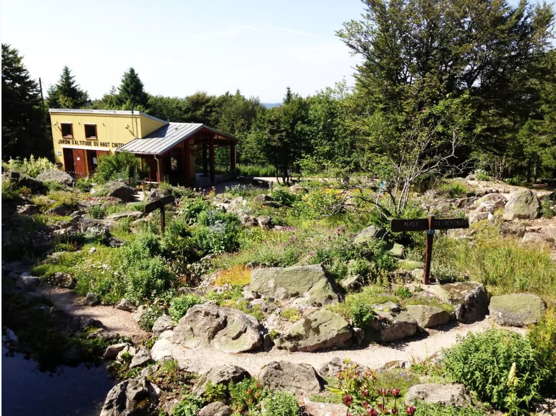 Plantes et espaces protégés du Massif du Hohneck