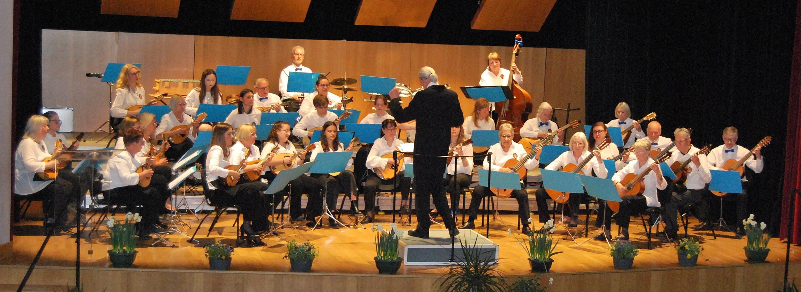 Concert de l'orchestre de mandolines et guitares de Remiremont
