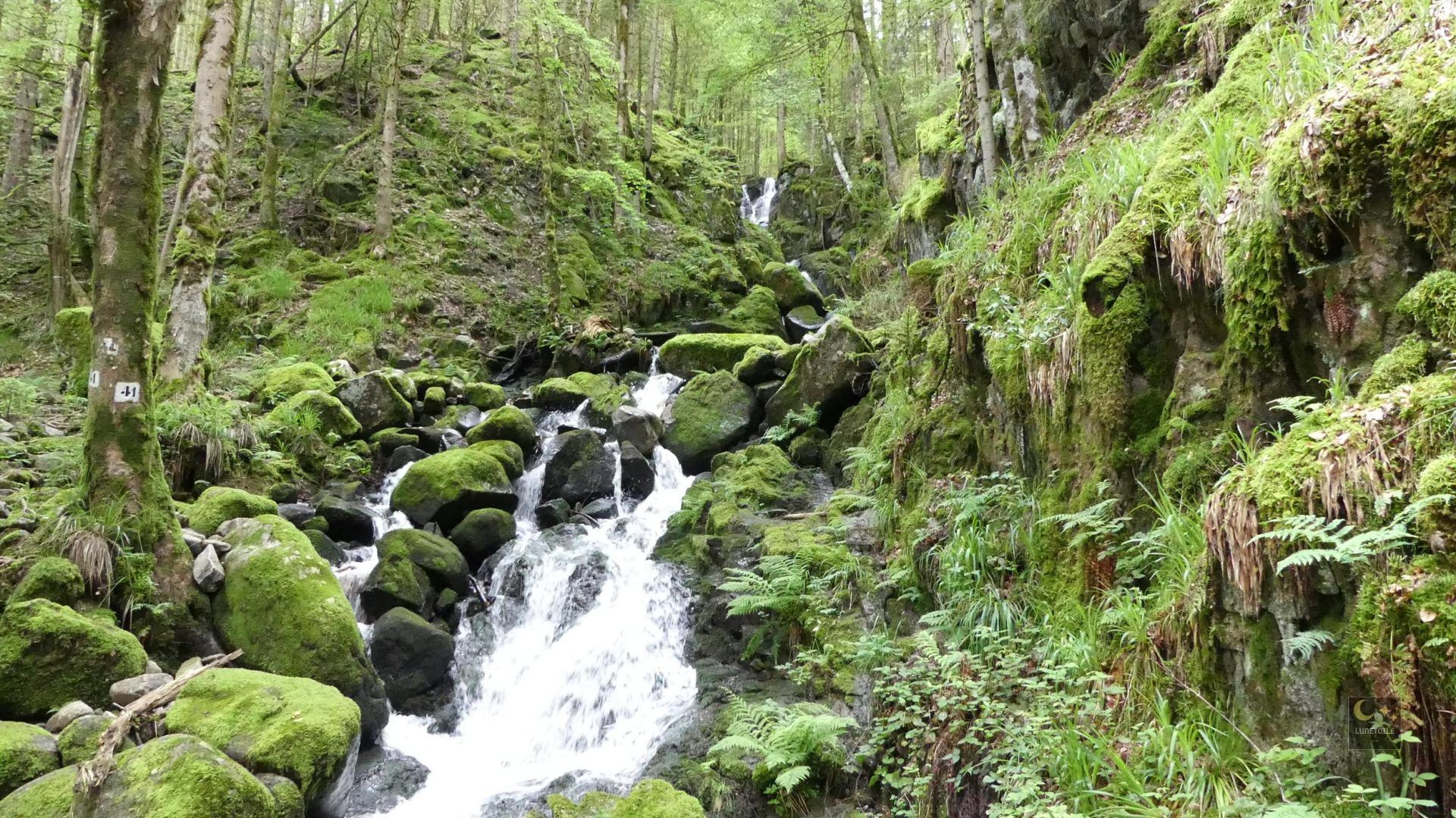 La Cascade de Battion - Sortir Vosges
