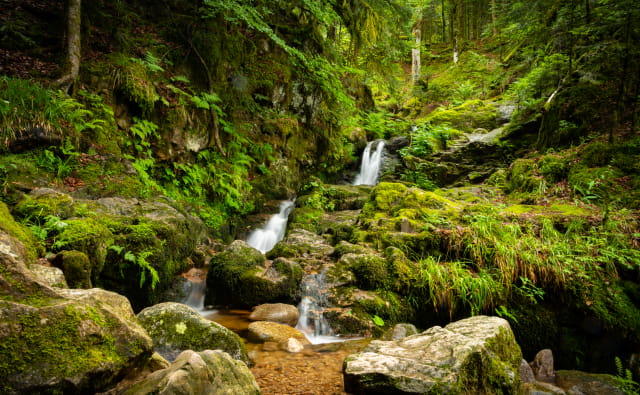 La Cascade de Charlemagne - Sortir Vosges
