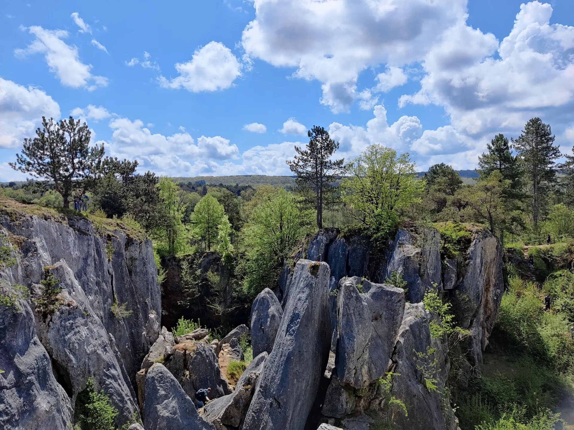La Réserve naturelle nationale de Vireux-Molhain - Sortir Grand Est