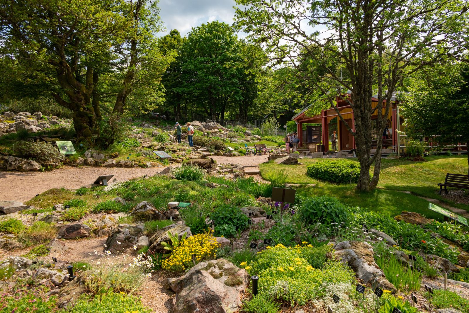Le Jardin d'altitude du Haut-Chitelet - Sortir Grand Est