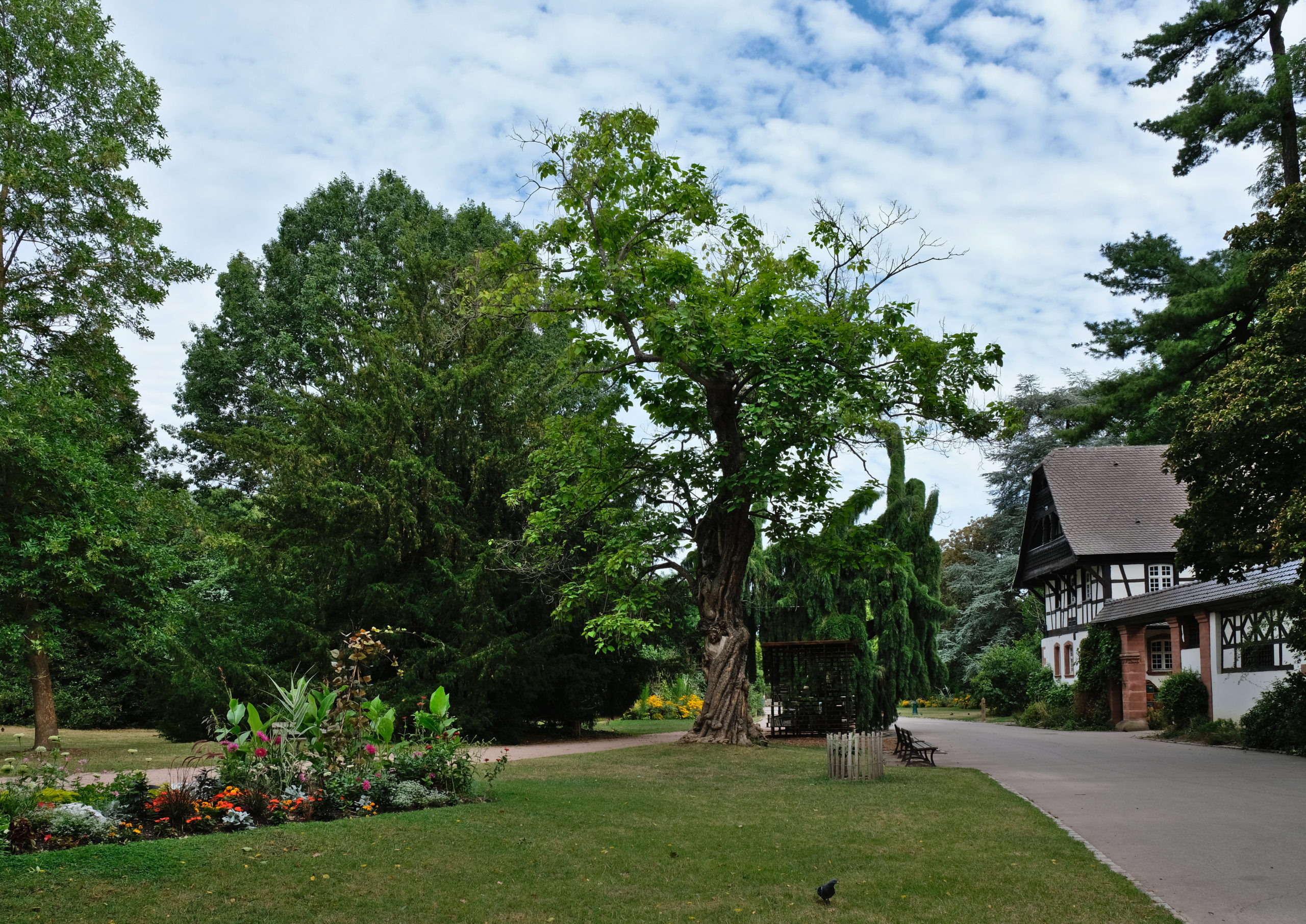 Le Parc Sainte-Marie - Agenda Grand Est