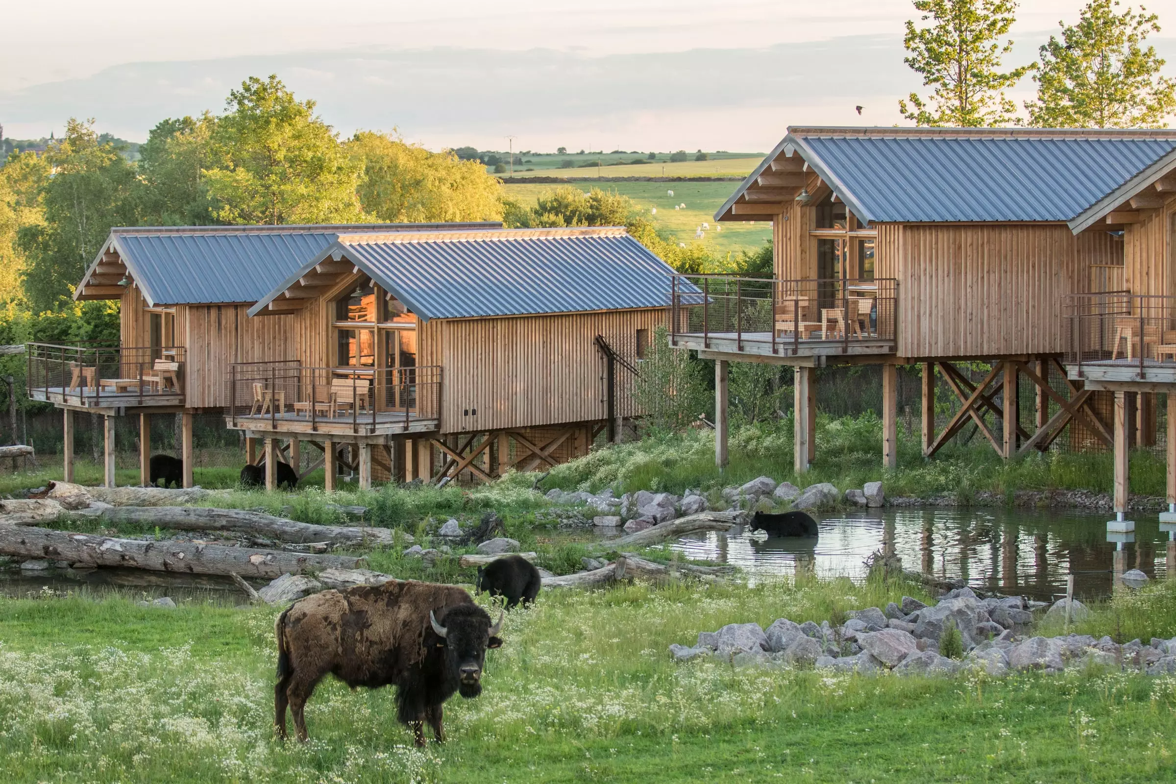 Parc Animalier de Sainte-Croix - Sortir Grand Est