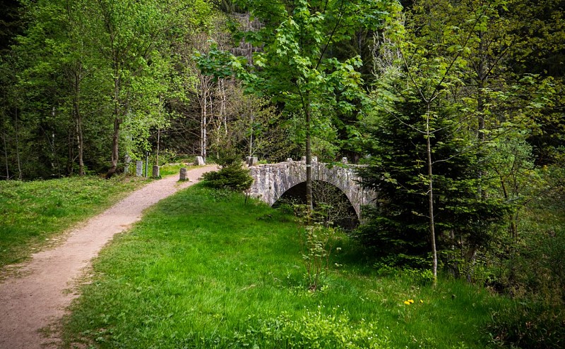 Sentier des Perles de Vologne - Sortir Vosges