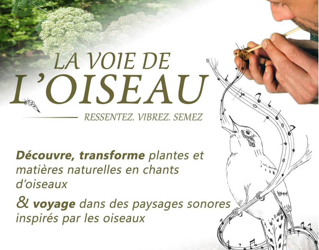 Atelier La Voie de l’Oiseau