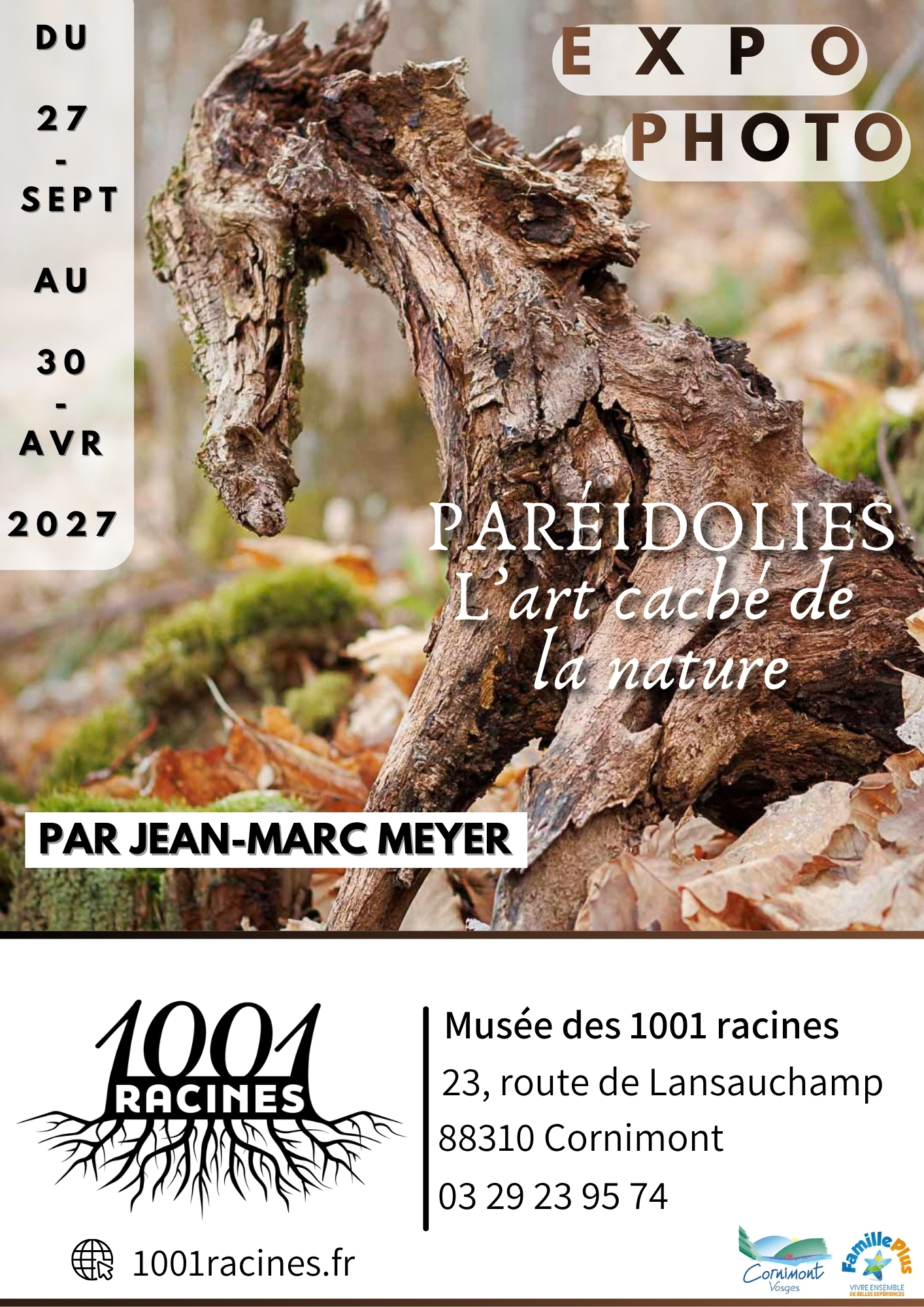 Exposition Paréidolies, l'art caché de la nature
