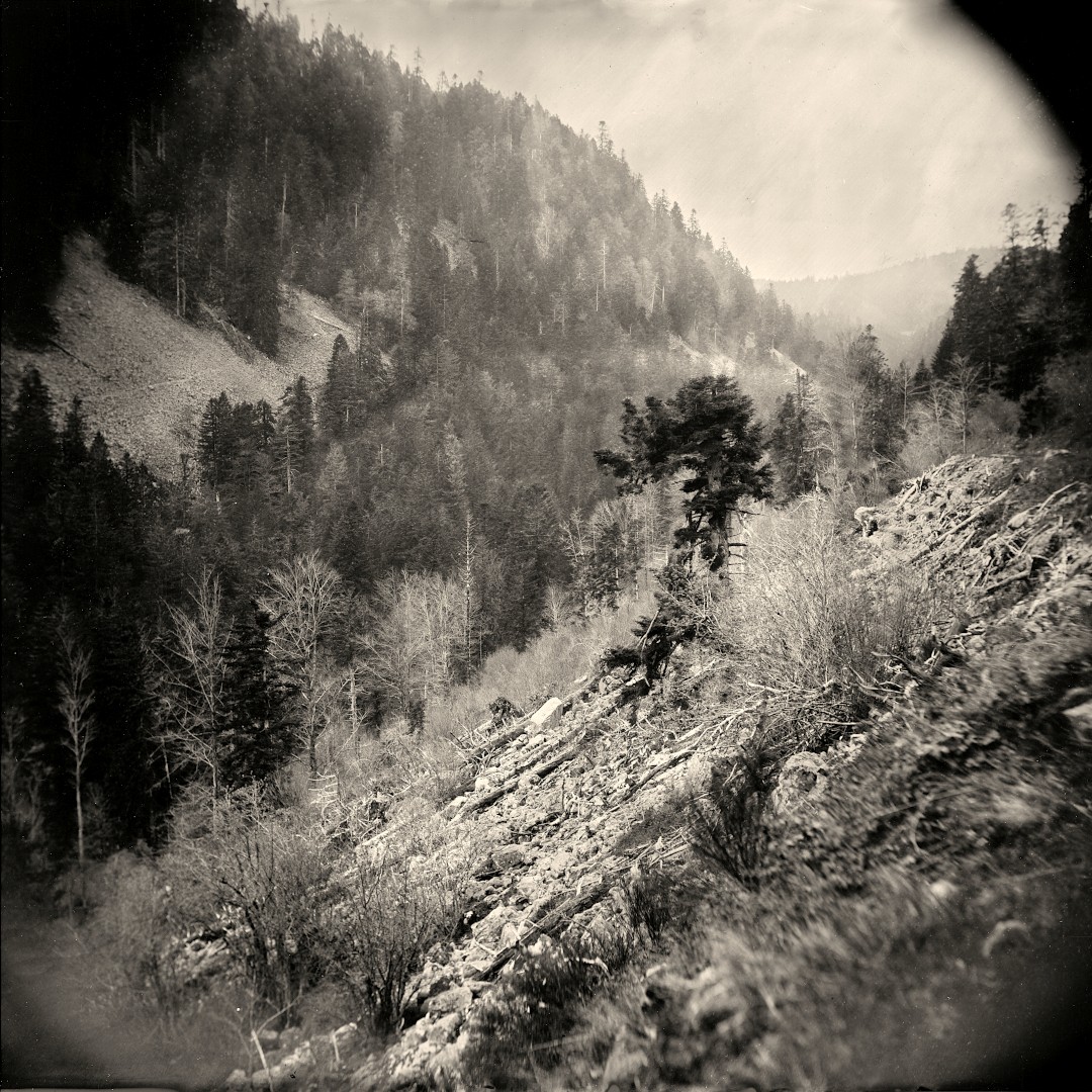 Démonstration : plongez au cœur des origines de la photographie ! Démonstration : plongez au cœur des origines de la photographie !