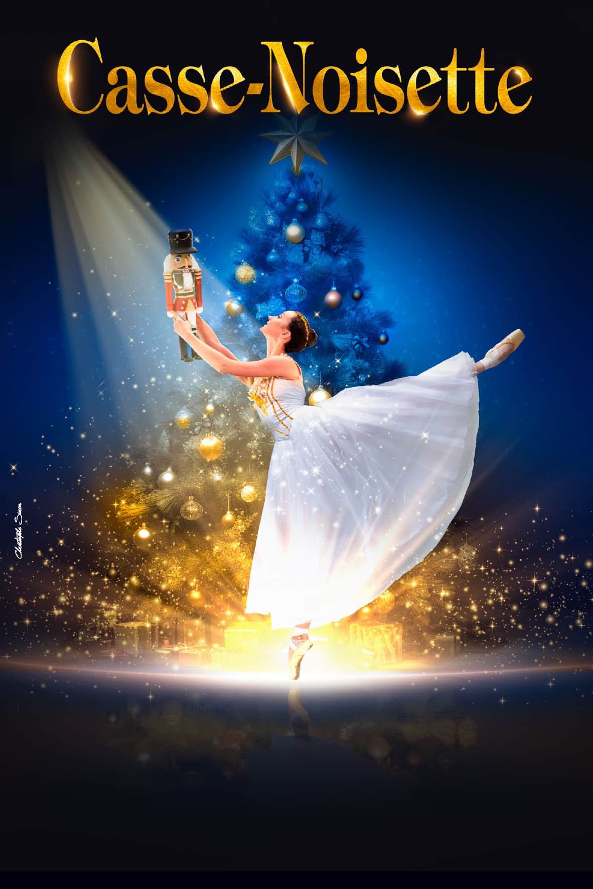 Sortie en famille ballet casse noisette Sortie en famille ballet casse noisette