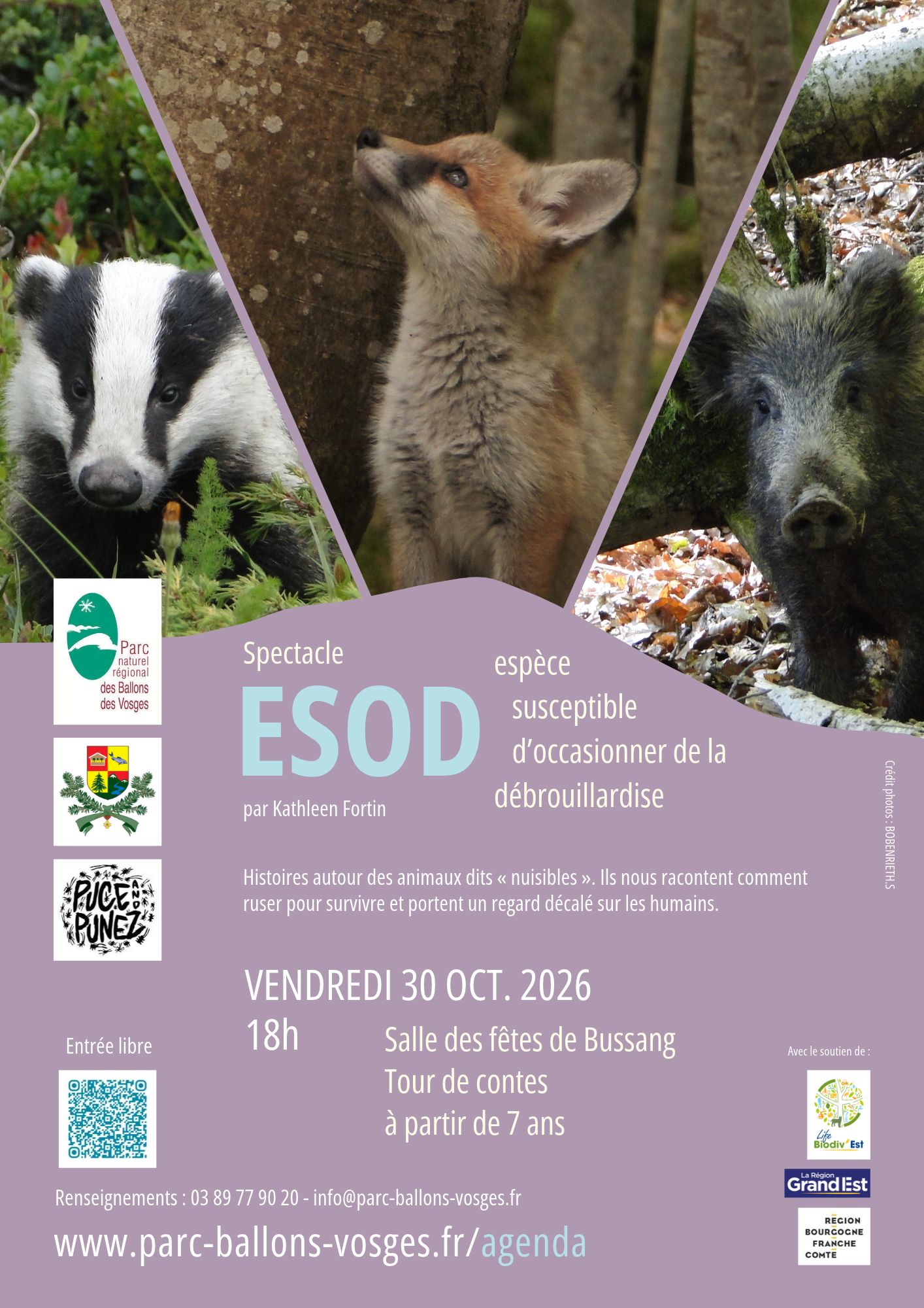ESOD, espèce susceptible d’occasionner de la débrouillardise ESOD, espèce susceptible d’occasionner de la débrouillardise